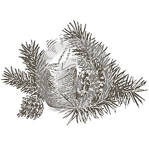 Set of Christmas decoration with pinecone, pine branch and candle.