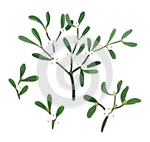 Set of floral Christmas elements isolated on white