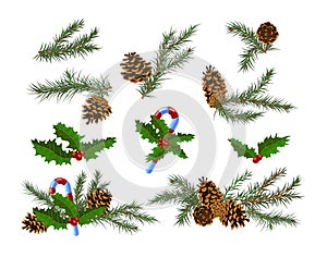 Set of Christmas Festive Decor with Fir-Tree Branches and Pine Cones with Candy Canes and Holly Berry and Leaves Element