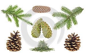 Set of christmas pine cones, branches and fir tree needles isolated on white background