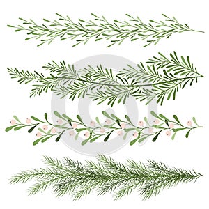 Set of christmas plants. Sprigs of mistletoe, coniferous branches. Long scenery. New year illustration