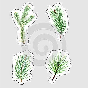 Set of Christmas stickers of watercolor hand drawn fir and pine branches, isolated vector design elements