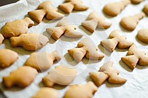 Set of Christmas theme shaped cookies on white cooking paper background. Ange, snowman and fish photo