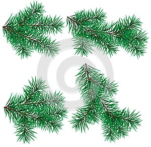 Set Christmas tree branch for decorate