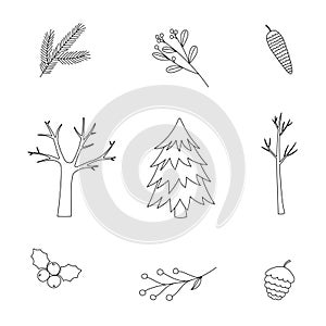 Set of Christmas winter elements. Mistletoe, holly, pine branch, fir tree and winter tree. Line art. Doodle style.