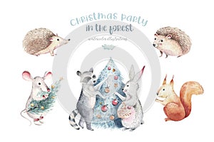 Set of Christmas Woodland forest cartoon hedgehog, cute squirrel, mouse, bunny hare animal character. Winter raccoon