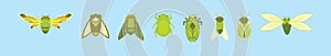 Set of cicada cartoon icon design template with various models. vector illustration isolated on blue background
