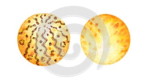 Set of circles hand drawn watercolor, isolated. Abstraction background. Yellow orange circle shape design elements xmas