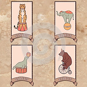 Set of circus animals