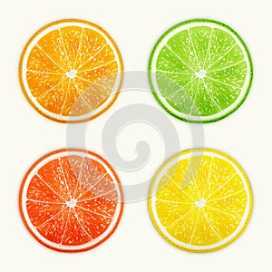 Set of citrus fruits. Orange, Lime, Grapefruit, Lemon.