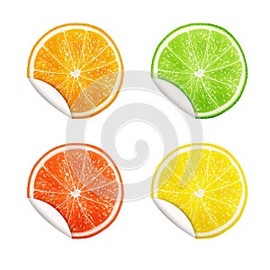 Set of citrus fruits. Orange, Lime, Grapefruit, Lemon.