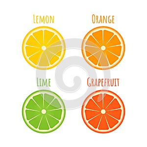 Set of citrus icons in flat style. Slices of orange, lime, lemon, grapefruit isolated on white. Fresh fruits vector illustration.