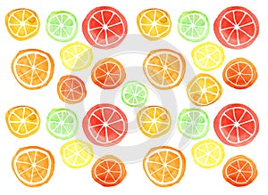 A set of citrus slices of different types on a white background.