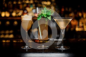 Set of classic cocktails: Dirty Martini, Sherry Cobbler, Brandy Crusta