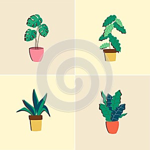 Set of Clip Art Leaf. hand draw tropical plate in flower pot. Pastel Color. Vector Design Illustration Background