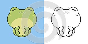 Set Clipart Froggy Coloring Page and Colored Illustration. Kawaii Isolated Amphibian. Cute Vector Illustration of a