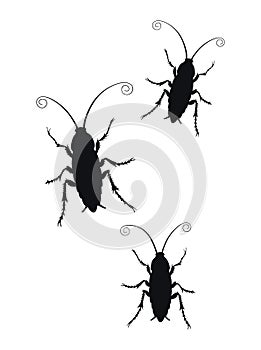 Set of Cockroach silhouette icon isolated on white background. Vector image. Illustration of insect symbol, beauty