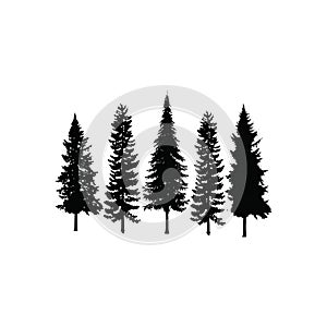 Set Collection Conifer Cedar Coniferous Cypress Pine Evergreen Fir Hemlock Spruce Larch Pinus tree forest illustration Logo design