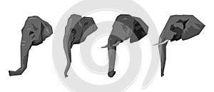 set collection of elephant heads side view. different types, sizes, ages, angles. cartoon flat vector illustration.