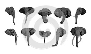 set collection of elephant\'s head. cartoon flat vector illustration.