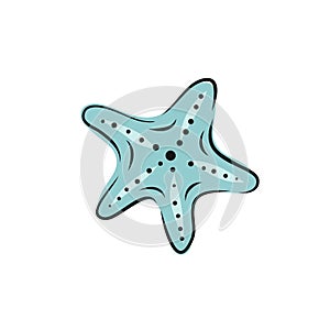 Set collection of hand painted drawn watercolor cliparts of starfish. Vector art illustration