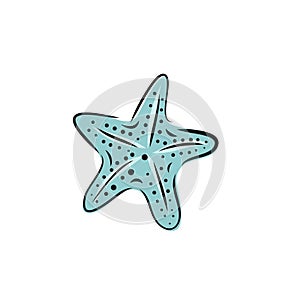 Set collection of hand painted drawn watercolor cliparts of starfish. Vector art illustration