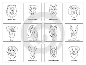 Set, collection of isolated black outline head of airedale terrier, chow, husky, pharaoh hound, saint bernard, labrador, collie, d