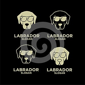 Set collection Labrador Retriever dog head face gold head logo icon design