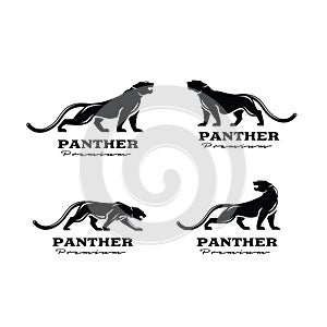 Set collection premium black panther vector logo illustration design