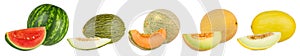 Set collection row of various kind of fruit melons like watermelon cantaloupe gaya charente and galia with melon slice isolated