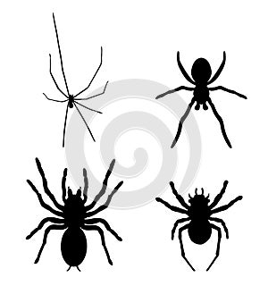 Set collection of spider vector silhouette illustration isolated on white background. Black widow tattoo sign.