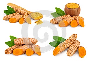 Set or collection turmeric powder and turmeric root isolated on white background with copy space for your text. Top view