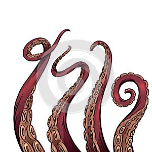 Set of color cartoon sketches of octopus tentacles. Creepy limbs of marine inhabitants. Vector object