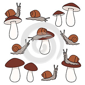Set of color illustration with snail and mushroom. Isolated vector objects.