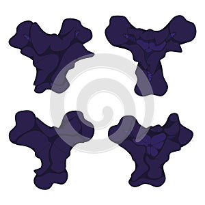 Set of color illustrations with black iris flowers. Isolated vector objects.