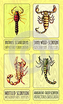 A set of color illustrations of four different species of scorpions. Created with Generative AI photo
