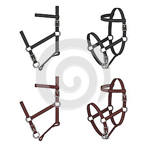 Set of color illustrations with leather halter, headstall, bridle. Isolated vector objects.