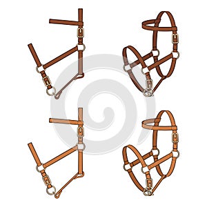 Set of color illustrations with leather halter, headstall, bridle. Isolated vector objects.