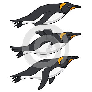 Set of color illustrations with penguins swimming in the water. Isolated vector objects.