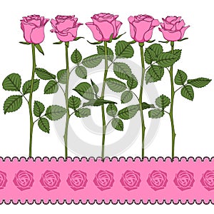 Set of color illustrations with pink roses. Isolated vector objects.