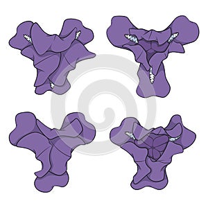 Set of color illustrations with purple iris flowers. Isolated vector objects.