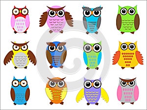 Set color owls.