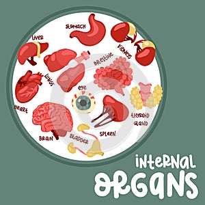 A set of color vector illustrations of human internal organs as a cover. Suitable for printing, Internet and