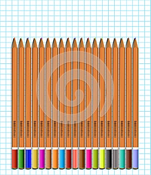 A set of colored pencils on paper in cage.Vector