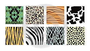 Set of colorful animal prints in cartoon style. Vector illustration of animal skin patterns with snakes, lizards