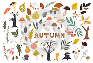 Set of colorful autumn leaves in cartoon style. Seasonal banner. September fall. October party. November sale. Doodle