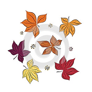 Set of colorful autumn leaves. Isolated over white background. Simple cartoon flat style. vector illustration. Hand drawing