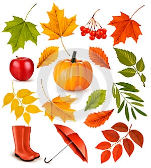 Set of colorful autumn leaves and objects.