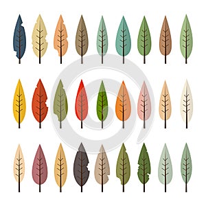 Set of Colorful Autumn Leaves and Tree Isolated on white background. fall leaf yellow,green,orange,pink,red,blue,brown,purple.