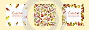 Set of colorful autumn posters with bright beautiful leaves frame, 3d style. Template for advertising, web, social media
